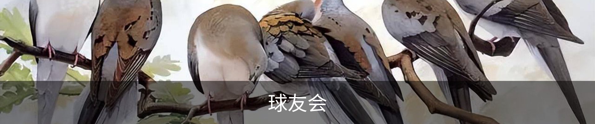 球友会